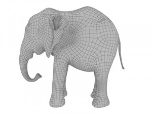 Baby elephant 3D Model