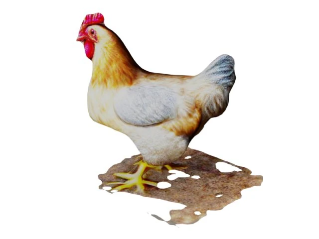 鸡 3D 模型 .c4d .max .obj .3ds .fbx .stl .blend 