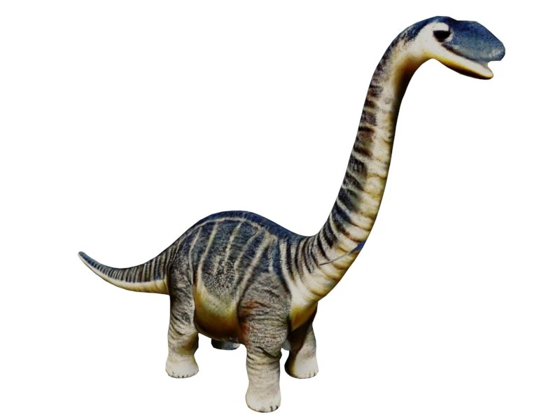 Diplodocus 3D Model .c4d .max .obj .3ds .fbx .stl .blend 