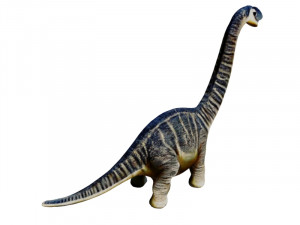 Diplodocus Model 3D