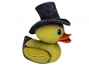 Duck 3D Model