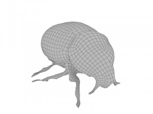 Dung beetle 3D Model