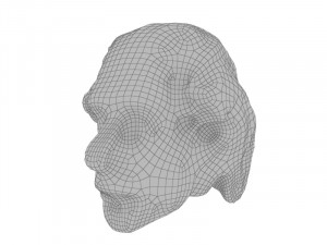Einstein head tiffany 3D 模型
