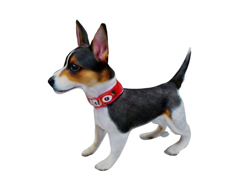 Fox terrier 3D Model .c4d .max .obj .3ds .fbx .stl .blend 