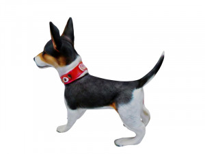 Fox terrier 3D Model