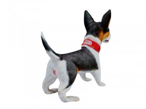 Fox terrier 3D Model