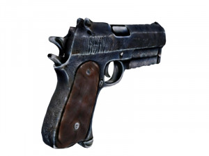 Guns Model 3D