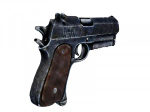 Guns 3D Model