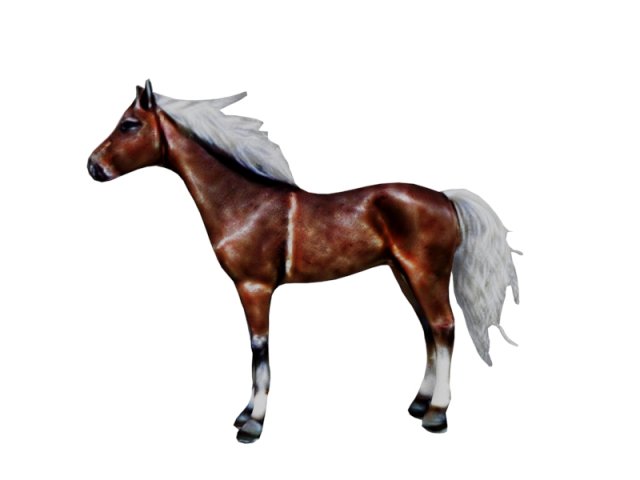Horse with white hair 3D Model .c4d .max .obj .3ds .fbx .stl .blend 