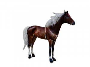 Horse with white hair 3D Model