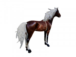 Horse with white hair 3D Model