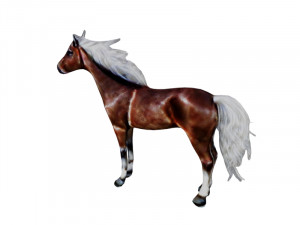 Horse with white hair 3D Model