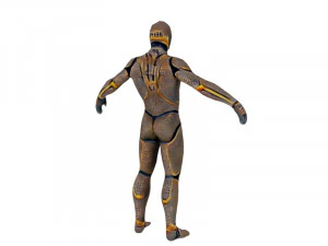 Human male 3D Model