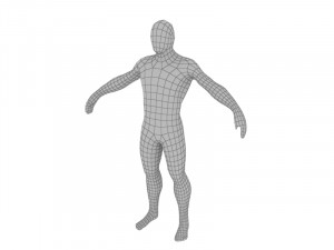 Human male 3D Model