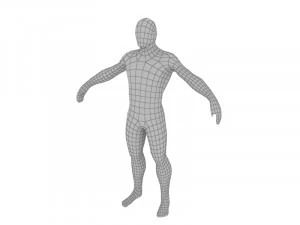 Human male 3D Model