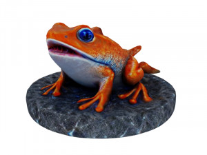 Orange frog Modelo 3D
