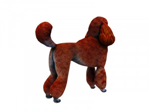 Orange poodle Model 3D