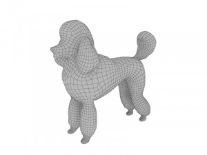 Orange poodle Model 3D