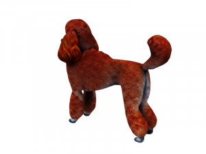 Orange poodle Model 3D