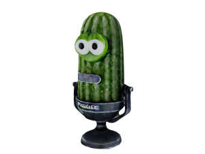Pickle microphone Modèle 3D