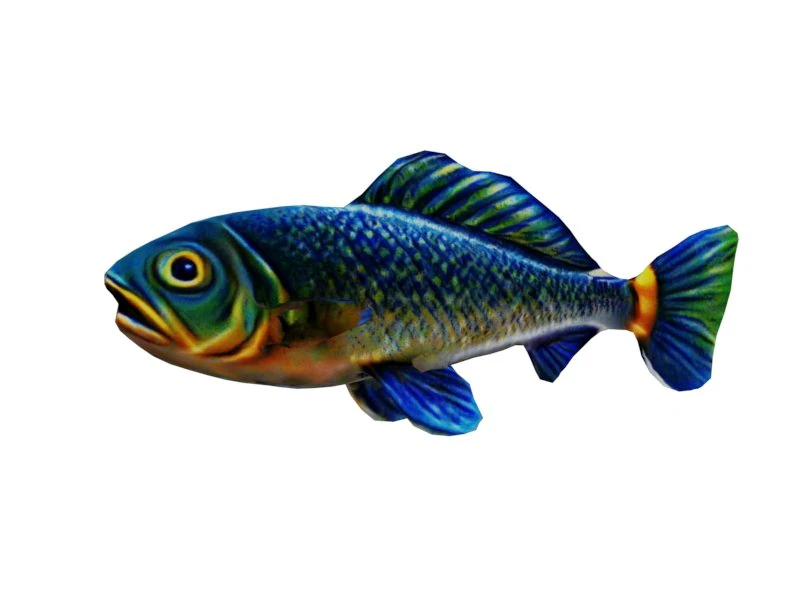 Pirarucu fish 3D Model .c4d .max .obj .3ds .fbx .stl .blend