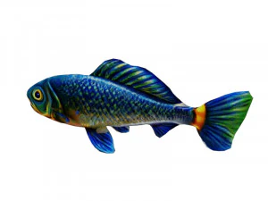 Pirarucu fish 3D Model
