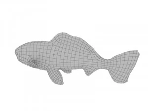 Pirarucu fish 3D Model