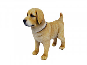 Puppy golden retreiver 3D-Modell