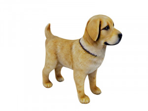 Puppy golden retreiver 3D 모델
