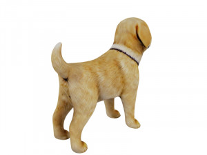 Puppy golden retreiver 3D 모델