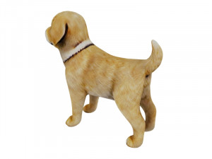 Puppy golden retreiver 3D 모델