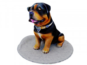 Rottweiler dog 3D मॉडल