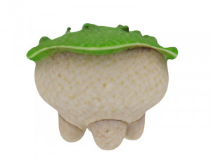 Small sentient fungal 3D Модель
