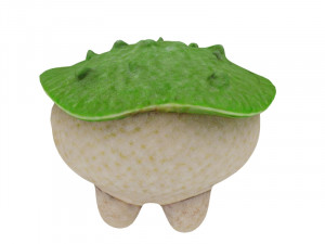 Small sentient fungal 3D Модель