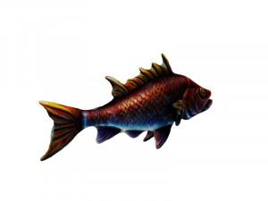 Snapper 3D Model