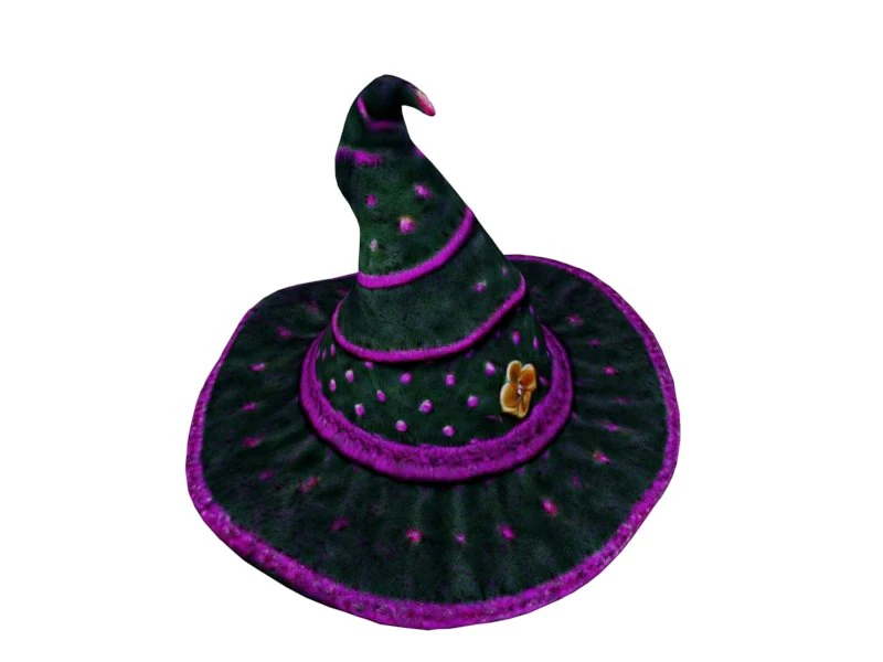 Whimsical witch hat 3D Model .c4d .max .obj .3ds .fbx .stl .blend 