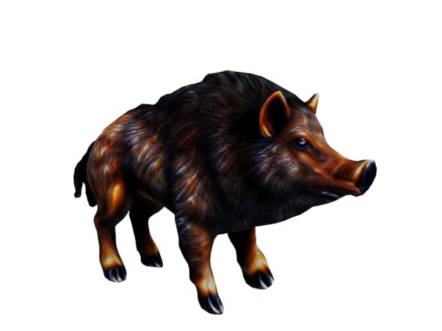 Wild boar 3D Model .c4d .max .obj .3ds .fbx .stl .blend 