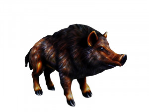 Wild boar 3D Model