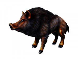 Wildschwein 3D Modell