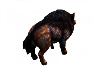 Wild boar 3D Model