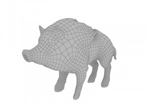 Wild boar 3D Model