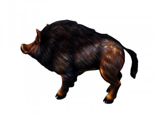 Wild boar 3D Model