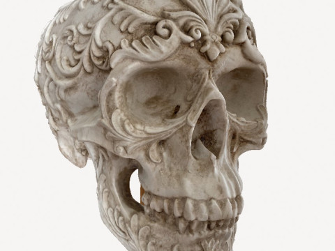 Flower skull 3D Model