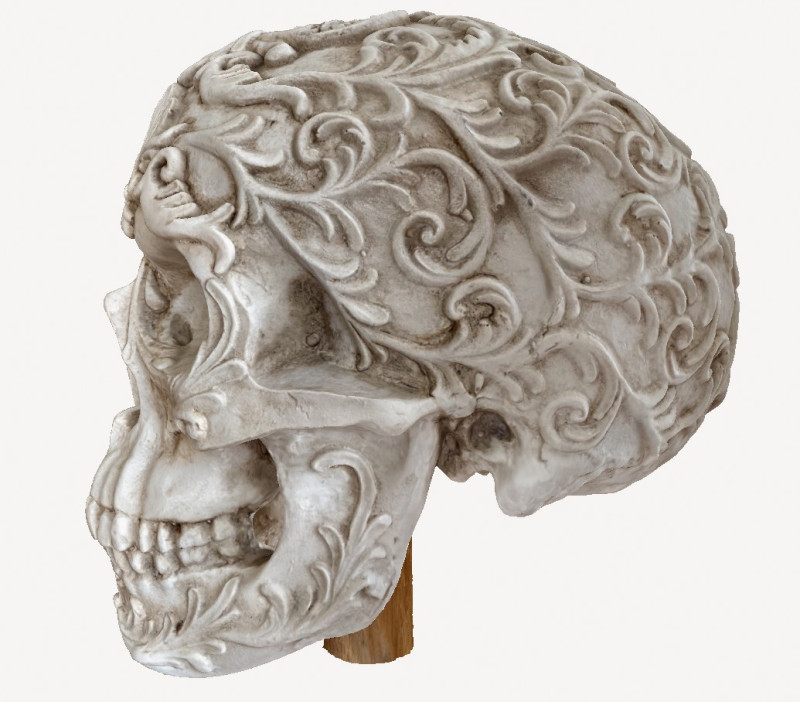 Flower skull 3D Model .c4d .max .obj .3ds .fbx .stl .blend 