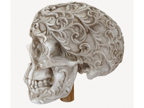 Flower skull Modelo 3D