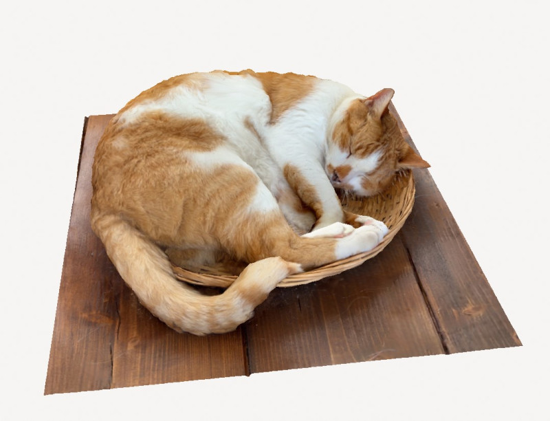 Cat 3D मॉडल .c4d .max .obj .3ds .fbx .stl .blend 