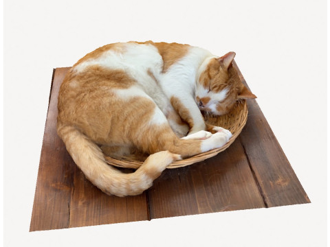 Cat Modelo 3D