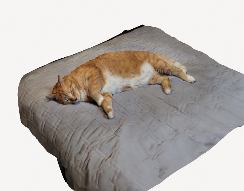 Hero the cat 3D Модель .c4d .max .obj .3ds .fbx .stl .blend 