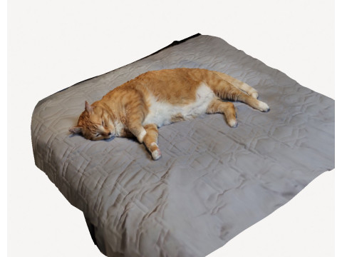 Hero the cat Modelo 3D