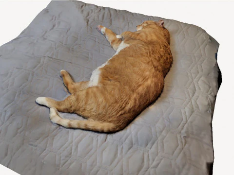 Hero the cat 3D Model